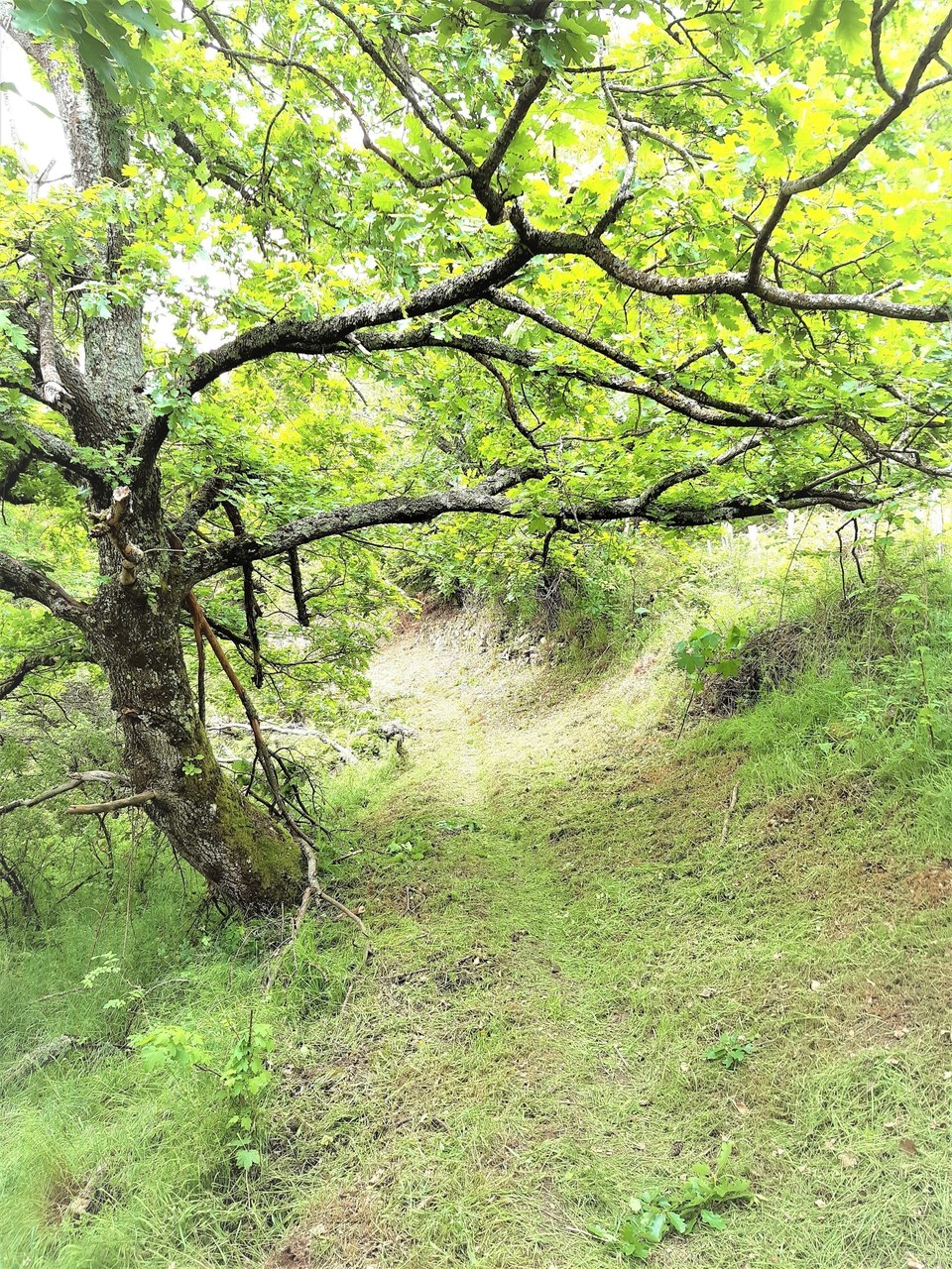 Sentier des crêtes