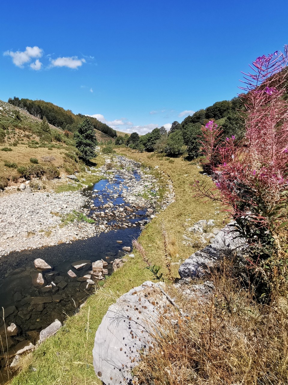 Les drailles et bords de la Loire - Sainte-Eulalie
