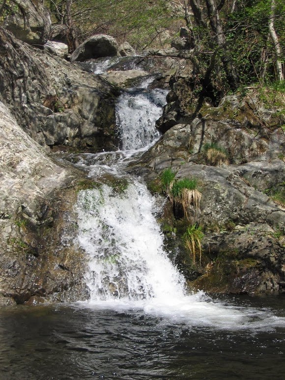 Les gorges de la Beaume