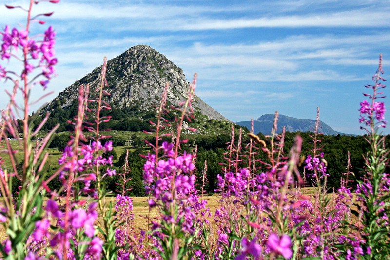 Les sources de la Loire - Sainte-Eulalie