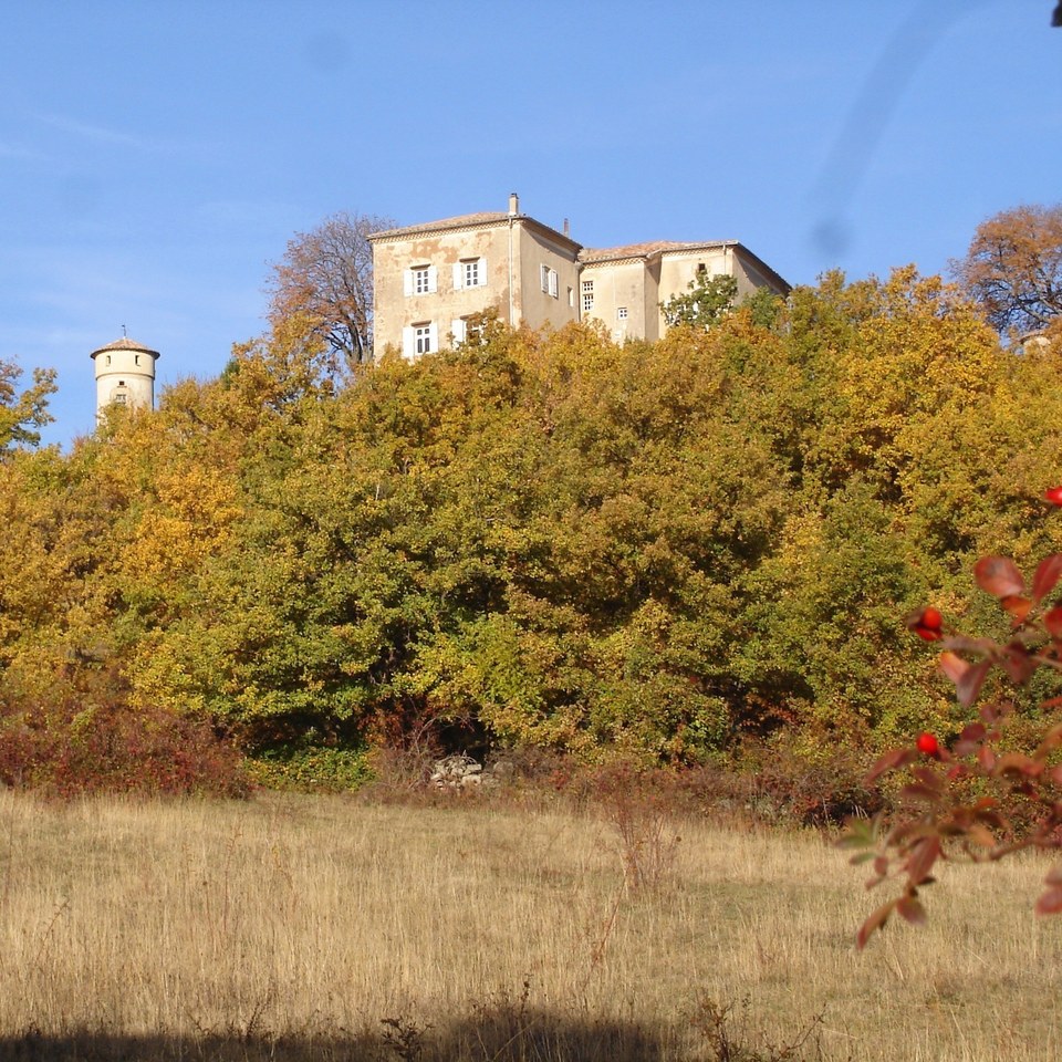 Lyas - Château de Liviers