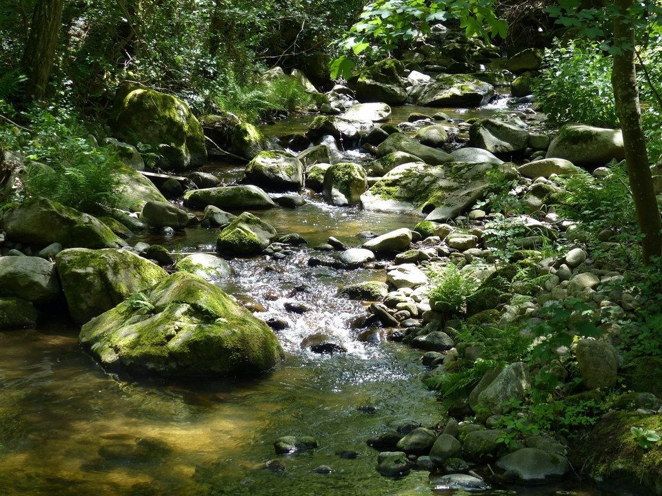 Malpertuis
