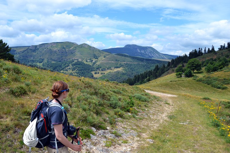 Entre Fay-sur-Lignon et le Gerbier-de-Jonc