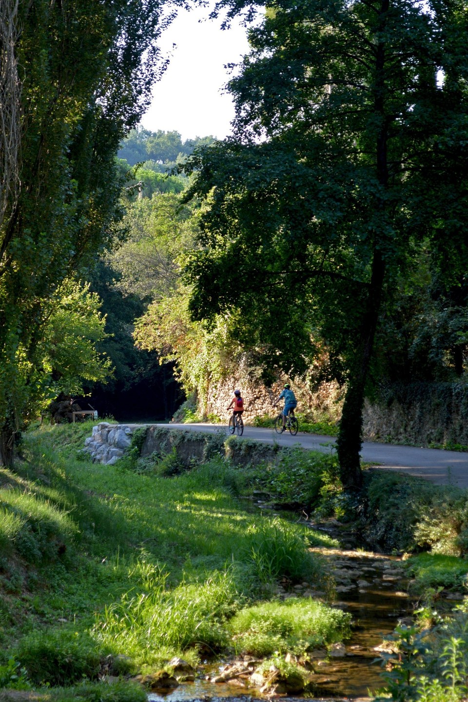 Pierres et Vignobles