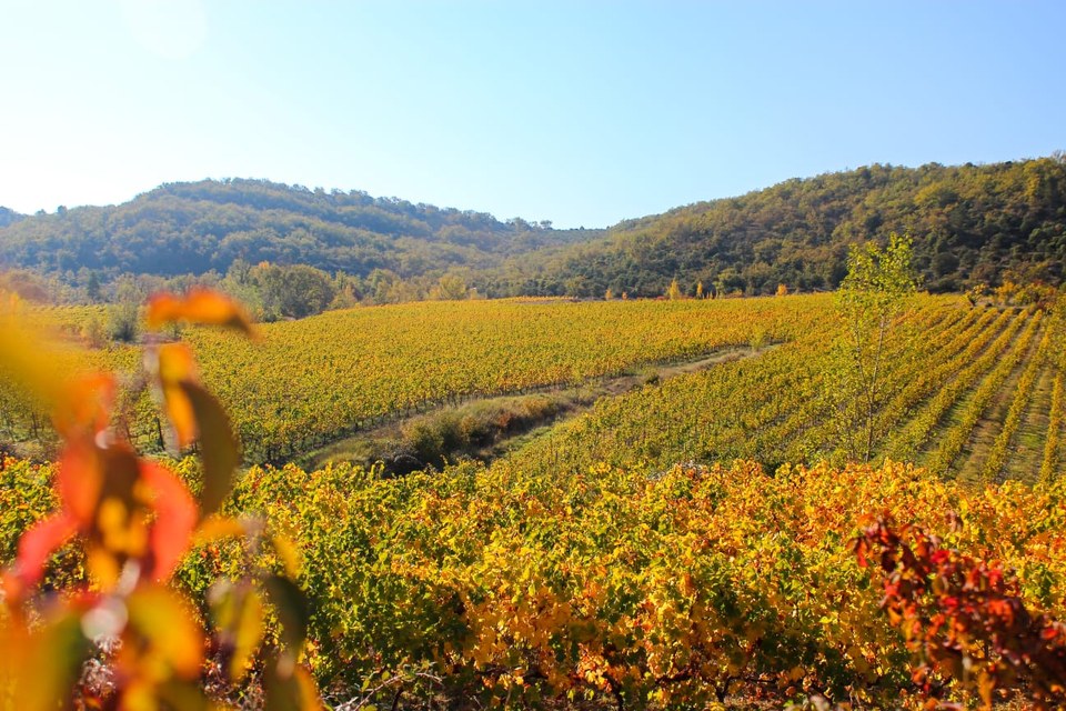 Pradons : le tour de la colline les Blaches