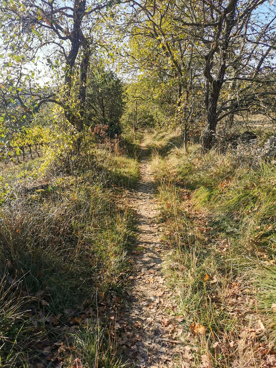 Le sentier