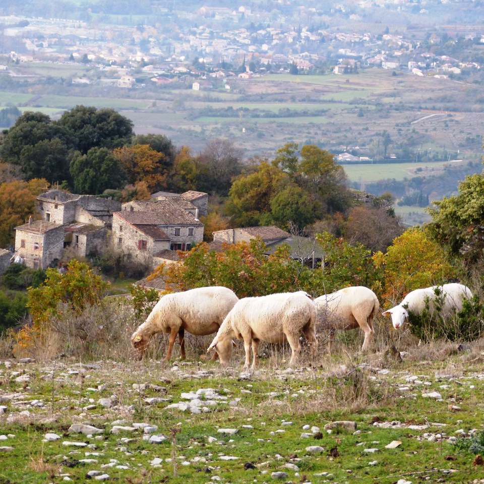Rompon - Le plateau de Rompon
