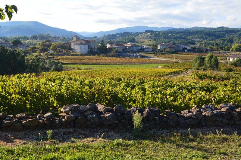 Rosières, le  sentier des vignes