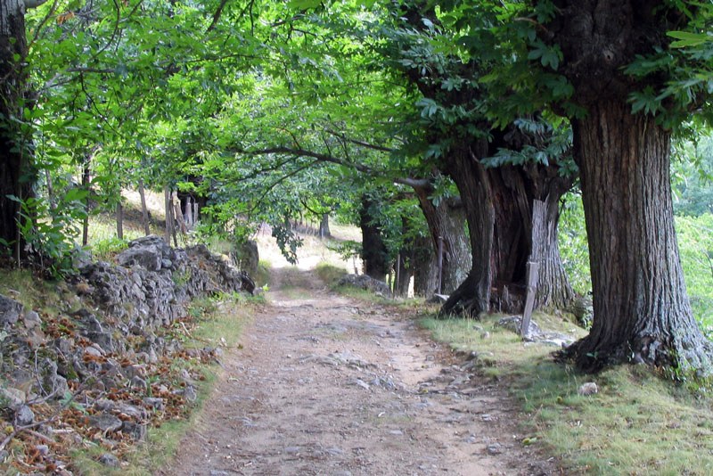 Route des Dragonnades