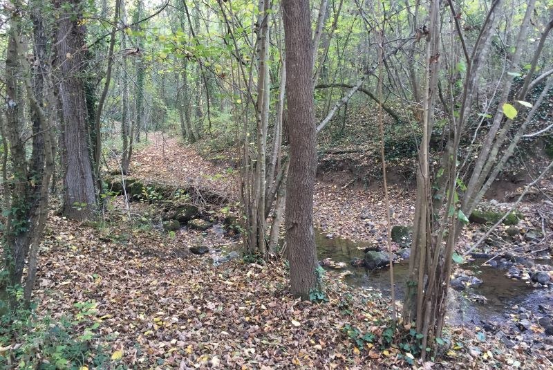 Ruisseau de l'Ecouta