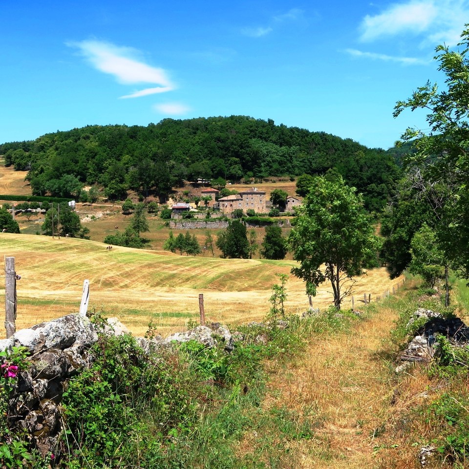 Saint-Apollinaire-de-Rias - Vers le Col de Montreynaud