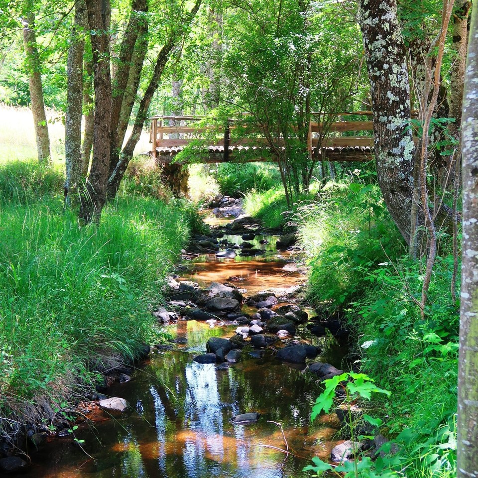 Saint-Apollinaire-de-Rias - Vers les sources de la Dunière