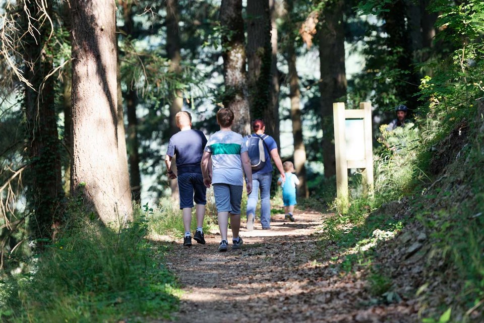 Sentier Jean Legalland - N°6