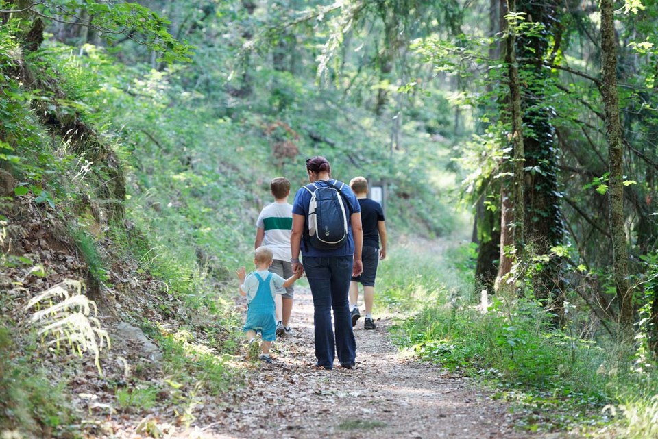 Bois de la Chèze
