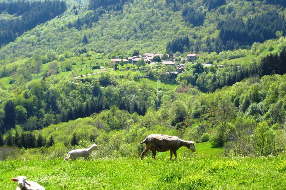 Vue sur Girond