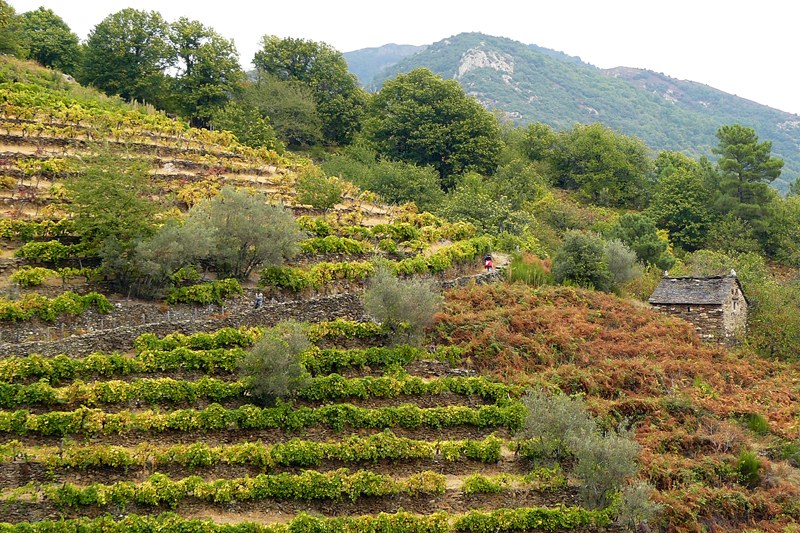 Sentier des lauzes