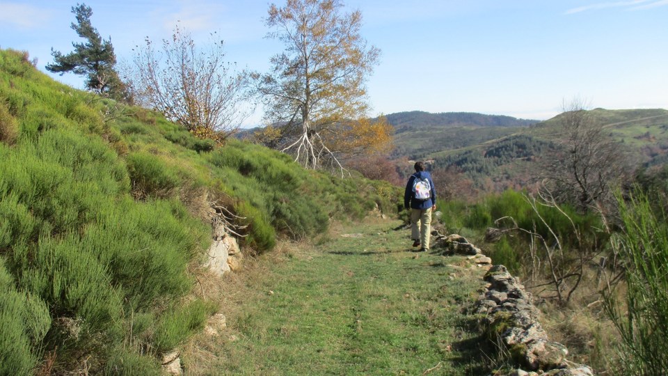 Sentier au dessus de la Peyre