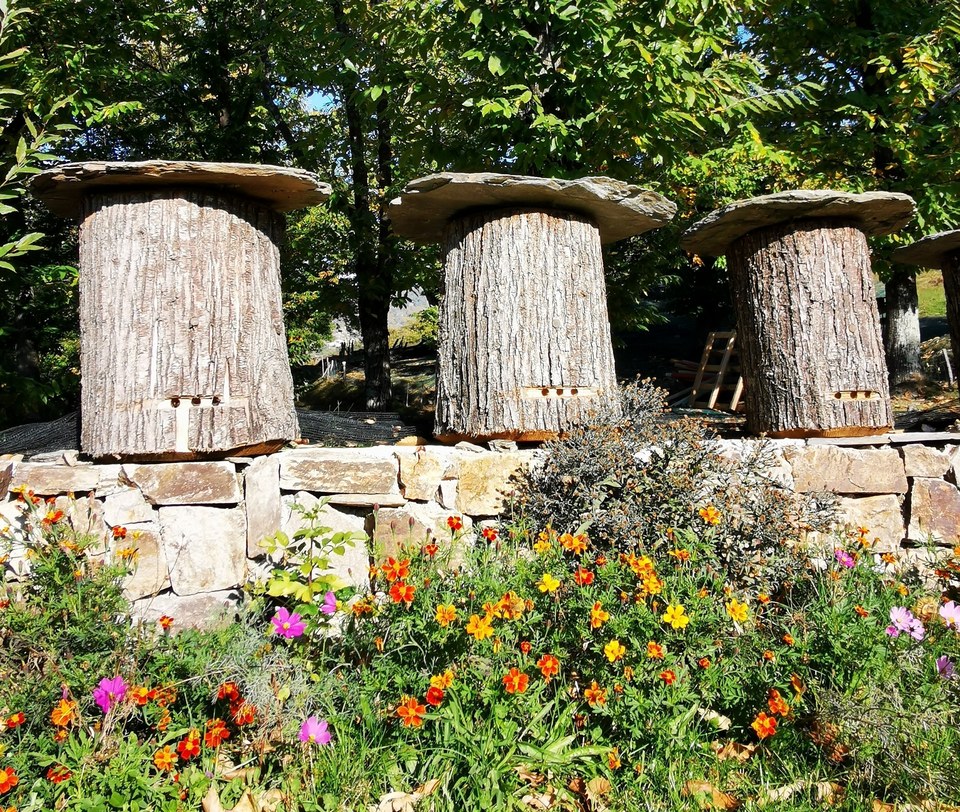 Sommet d'Espervelouze - Saint-Laurent-les-Bains- Laval d'Aurelle - 27