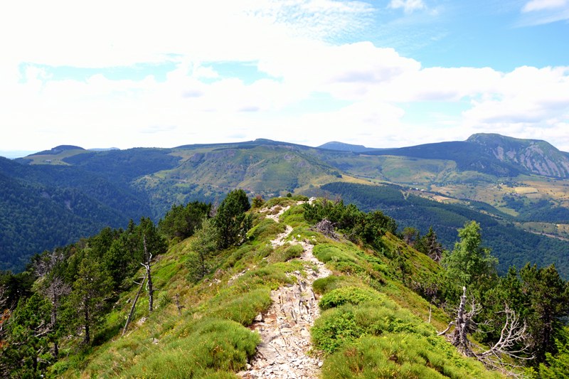 Suc de Sara
