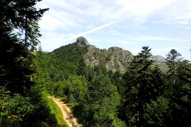 Suc de Sara