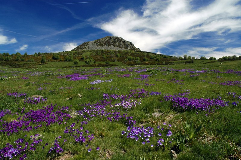 Suc de la Lauzière - Le Béage