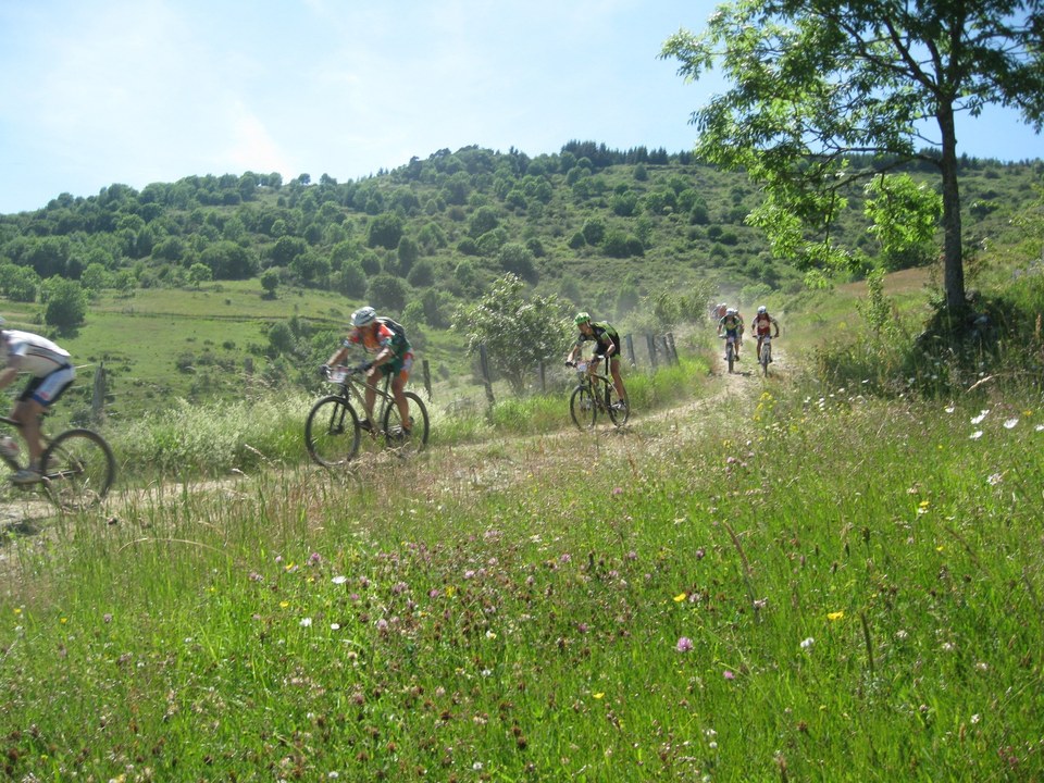 Sentier à St Julien-Labrousse
