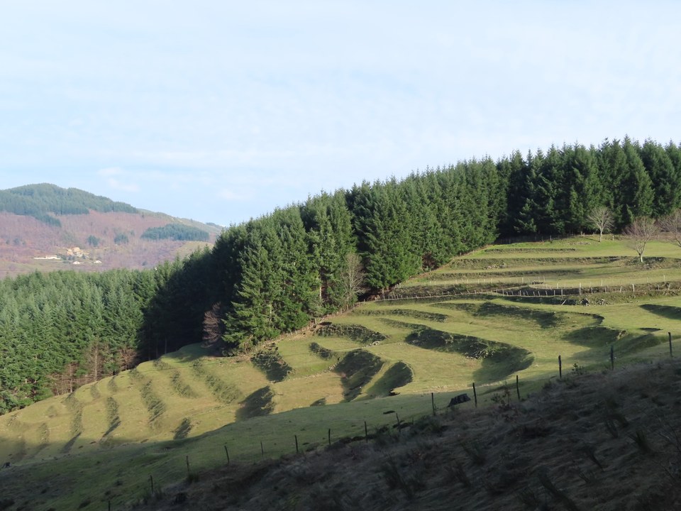 Terrasses au dessus du Cheylard