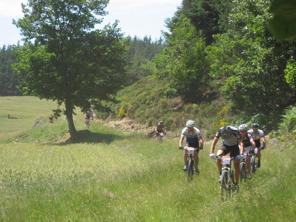 chemin sur St julien-Labrousse