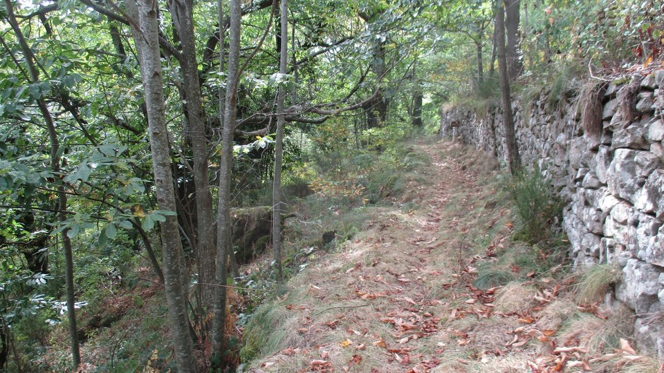 Chemin sur la variante