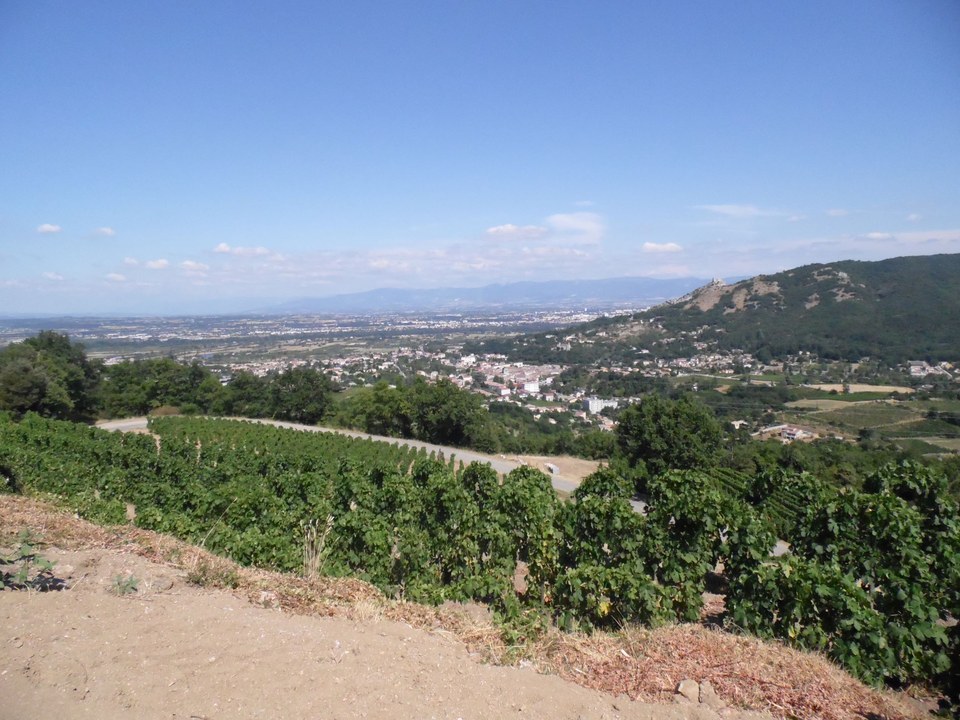 Tour du vignoble de Saint-Péray