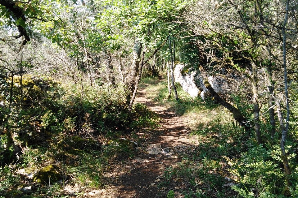 Trail de la ronde des Blaches