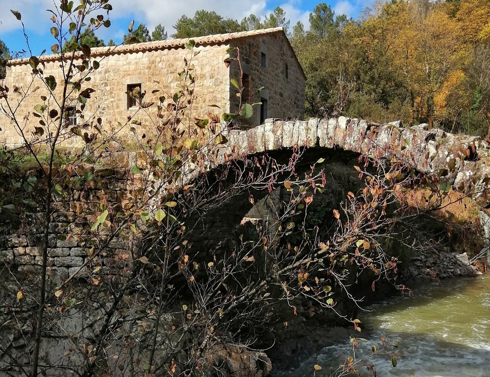 Trail des moulins