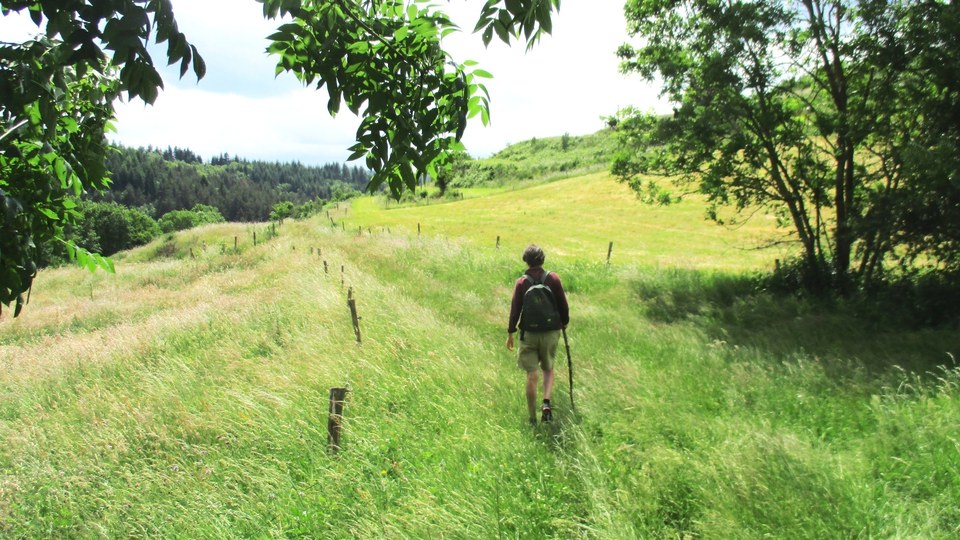 Sentier proche de Taboul