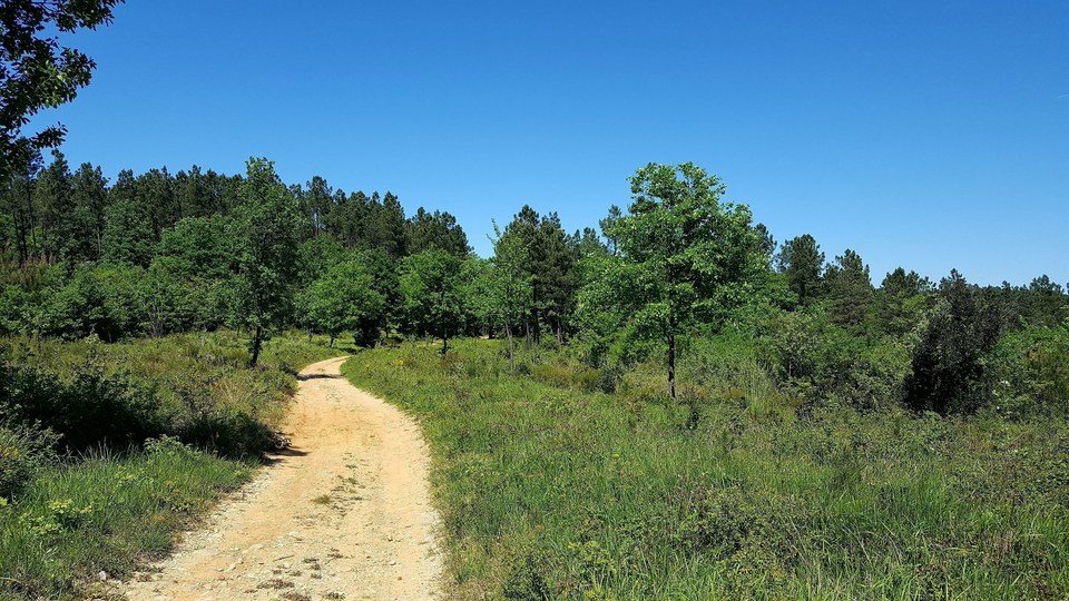 VTT - Autour du Bois des Bruyères