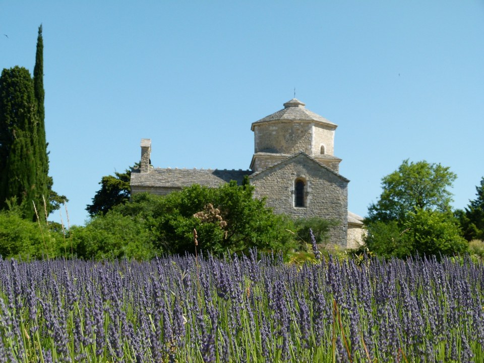 Eglise Saint Pierre de Larnas et lavandes