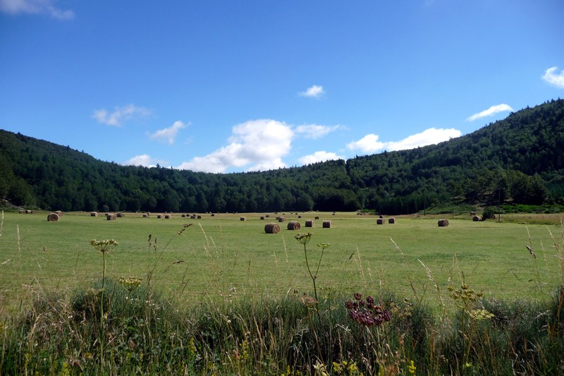 Vestide du Pal - Le Roux