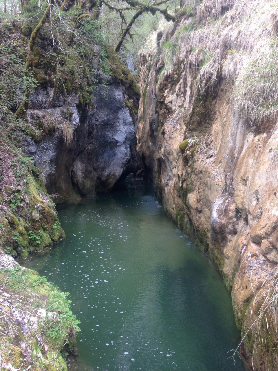 Canyon - Pont du Diable