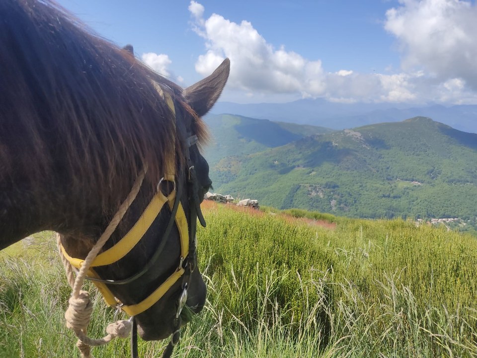 depuis la crête de Rouyon