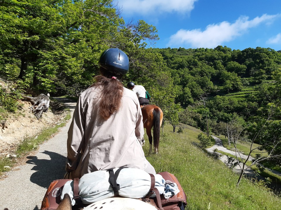 route des Auches et chataigneraies