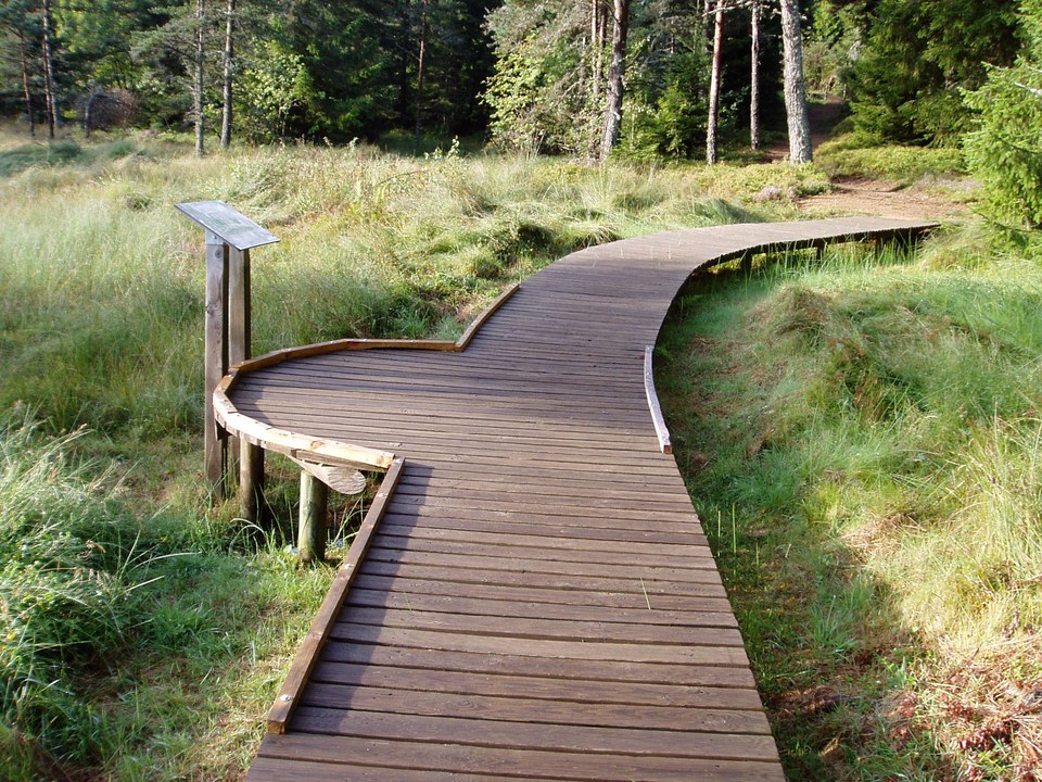 Sentier équestre de La Tourbière de Gimel à St Sabin