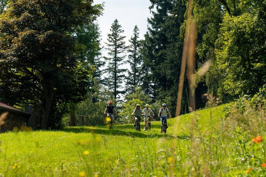 Étape 3 - Tour VTT du Pays Roannais - Chérier > Saint-Martin-d'Estréaux