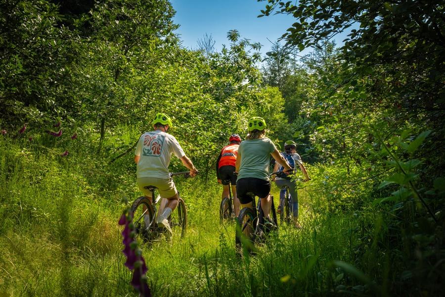 Étape 4 - Tour VTT du Pays Roannais - Saint-Martin-d'Estréaux > Roanne