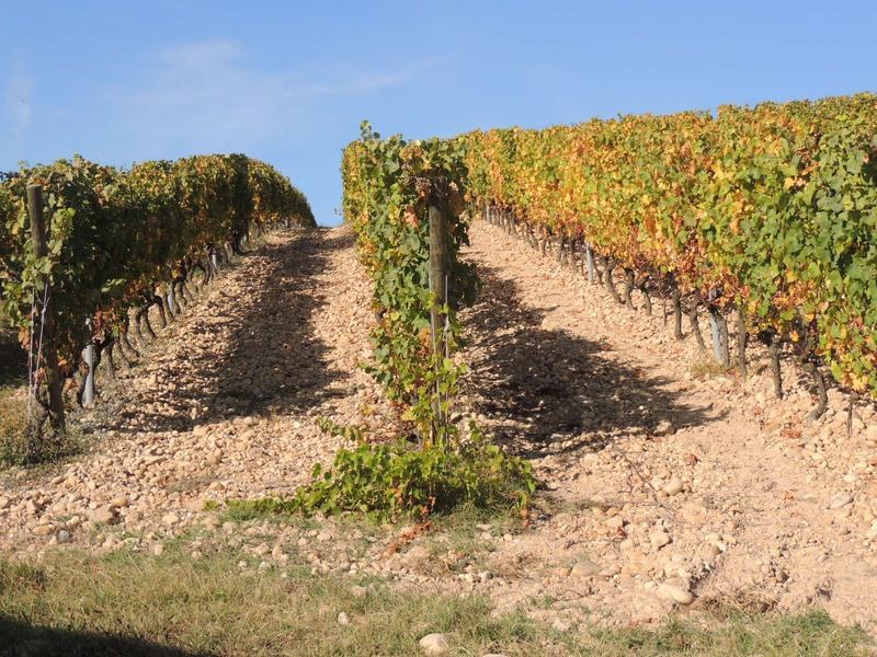 Circuit VTTAE 220 - Les Vignes