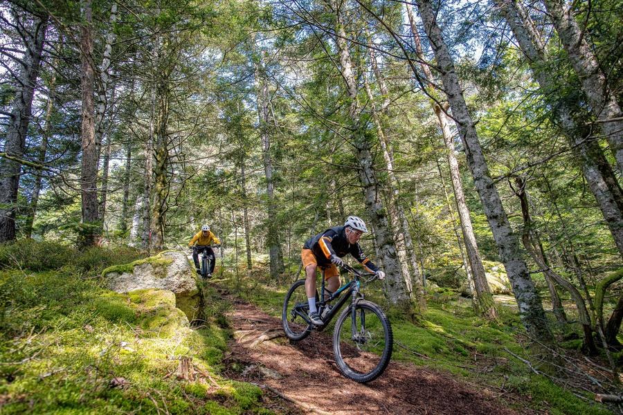 N°90 - Le Bois de la Brugne - Espace VTT Montbrison-Monts du Forez