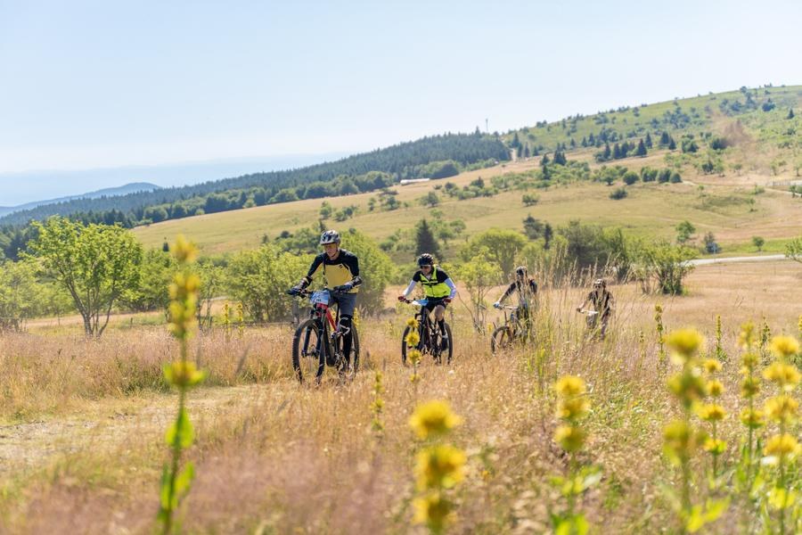 N°5 - En route pour les estives - Espace VTT Montbrison-Monts du Forez
