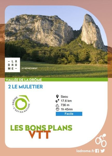 Le muletier