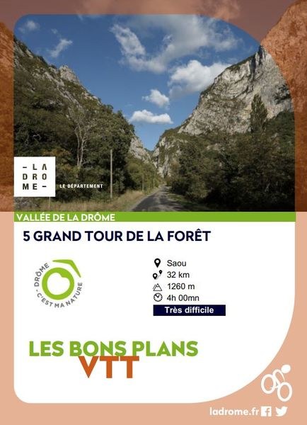 Grand tour de la forêt