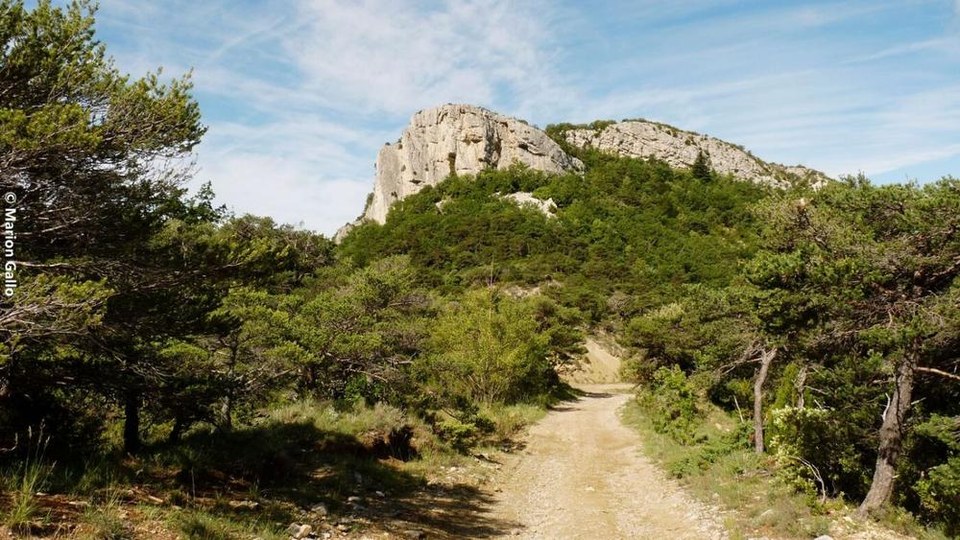 Le rocher des Aures