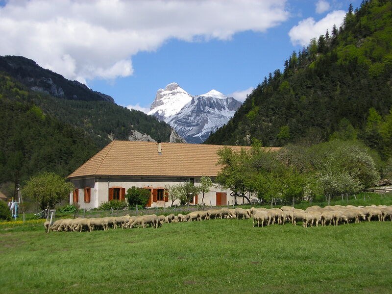 Balade au-delà du Buëch