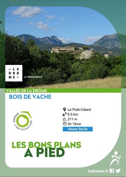 Bois de Vache